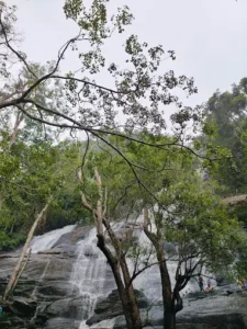 unnamed - 2025-09-23T114136.422