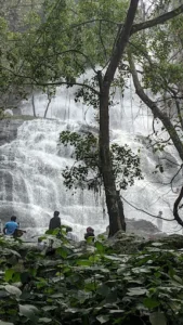 unnamed - 2025-09-23T114319.528